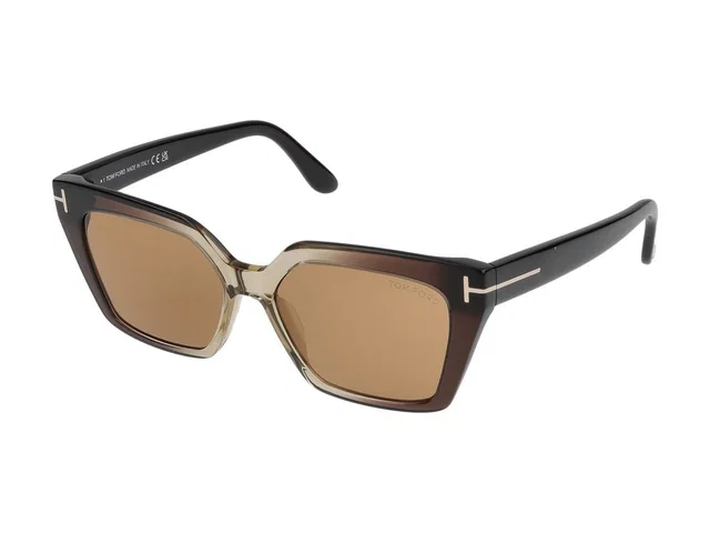 Tom Ford Ft1030 Injected Acetate Sunglasses — Brown in Brown from HEWI