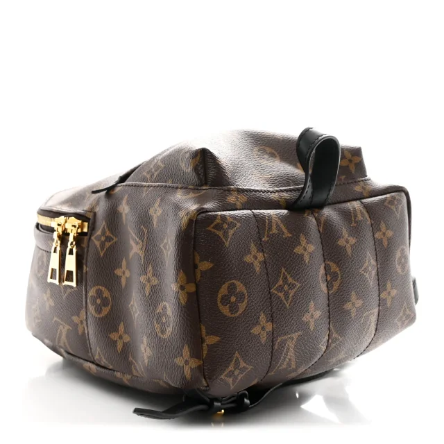 Louis Vuitton Monogram Palm Springs Backpack PM in Calfskin from FASHIONPHILE, photo 4 of 9