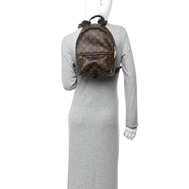 Louis Vuitton Monogram Palm Springs Backpack PM in Calfskin from FASHIONPHILE, photo 2 of 9
