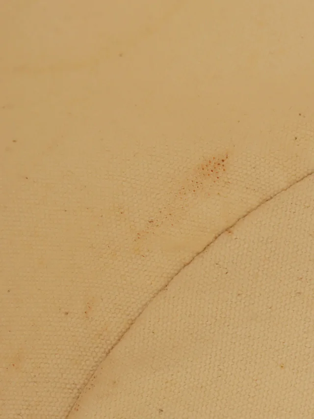 Hermès Saxo MM Beige in Beige Canvas from VINTAGE QOO TOKYO, photo 16 of 17