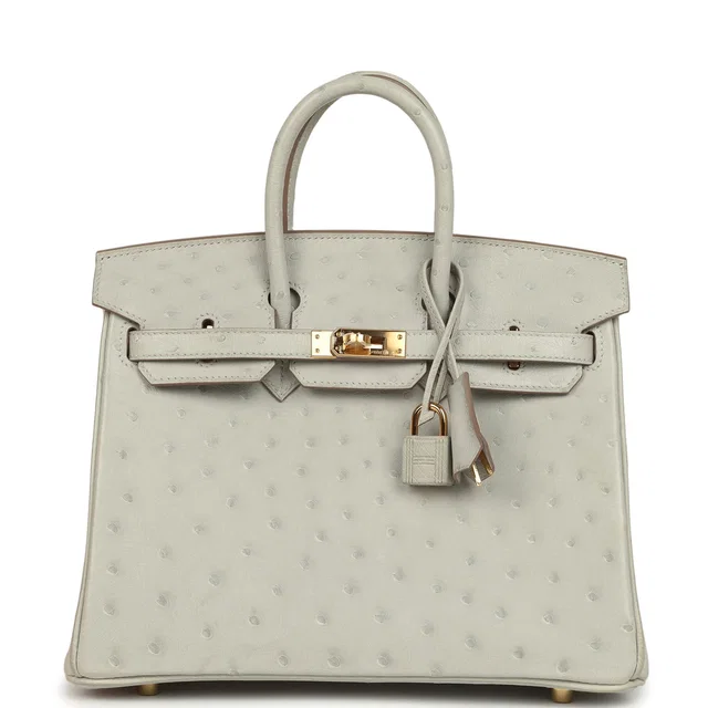 Hermès Birkin 25 Gris Perle Ostrich Gold Hardware in Grey Ostrich from Madison Avenue Couture