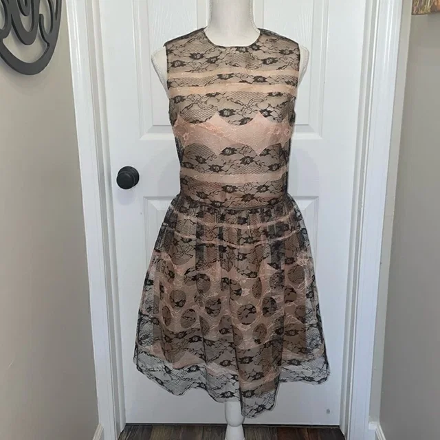 REDValentino Sleevelesslace Embroidered Dress in black from Poshmark