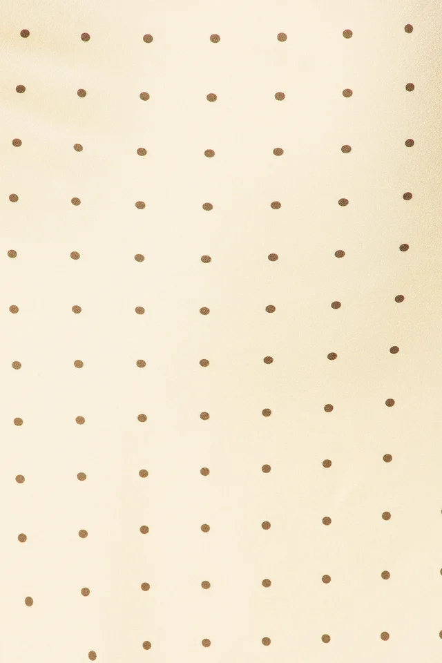 MORE TO COME Stevie Halter Mini Dress in Yellow & Brown Dot, photo 4 of 4 from REVOLVE (Canada)
