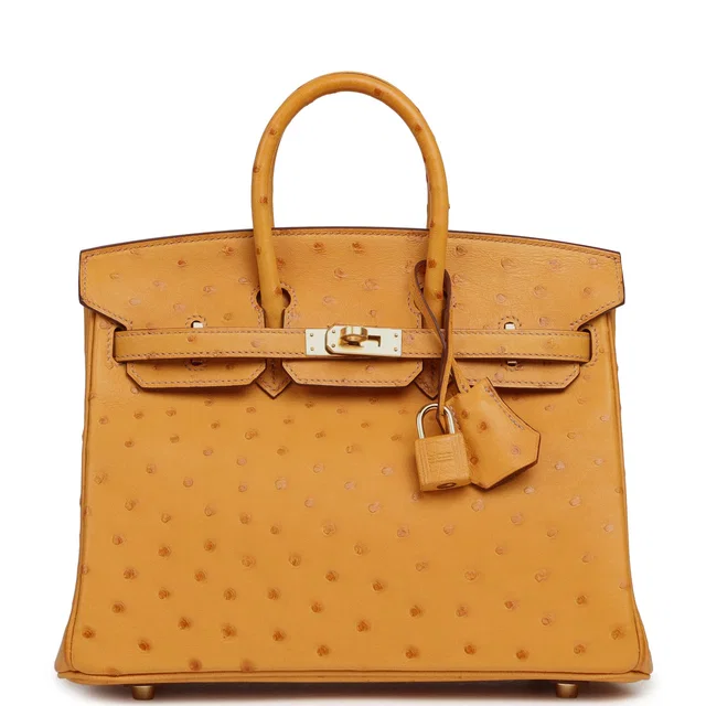 Hermès Birkin 25 Safran Ostrich Gold Hardware in Ostrich from Madison Avenue Couture