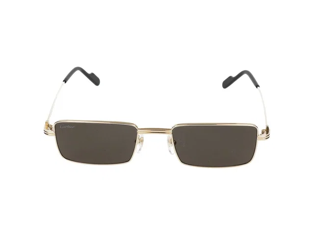 Cartier Ct0501s Sunglasses — Gold Metal in Gold from HEWI