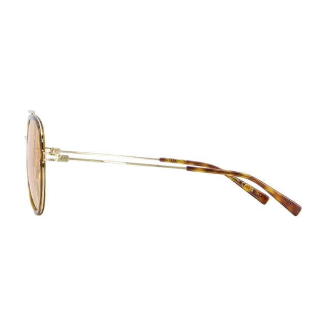 Gucci Gg1981s-002 Sunglasses — Brown Acetate in Brown from HEWI