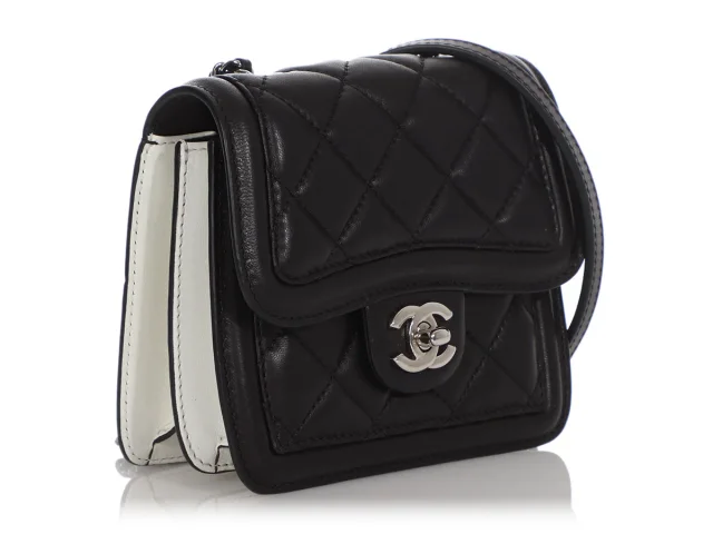 Chanel Mini Black and White Leather Citizen Flap in Black Leather from Ann's Fabulous Finds, photo 6 of 10