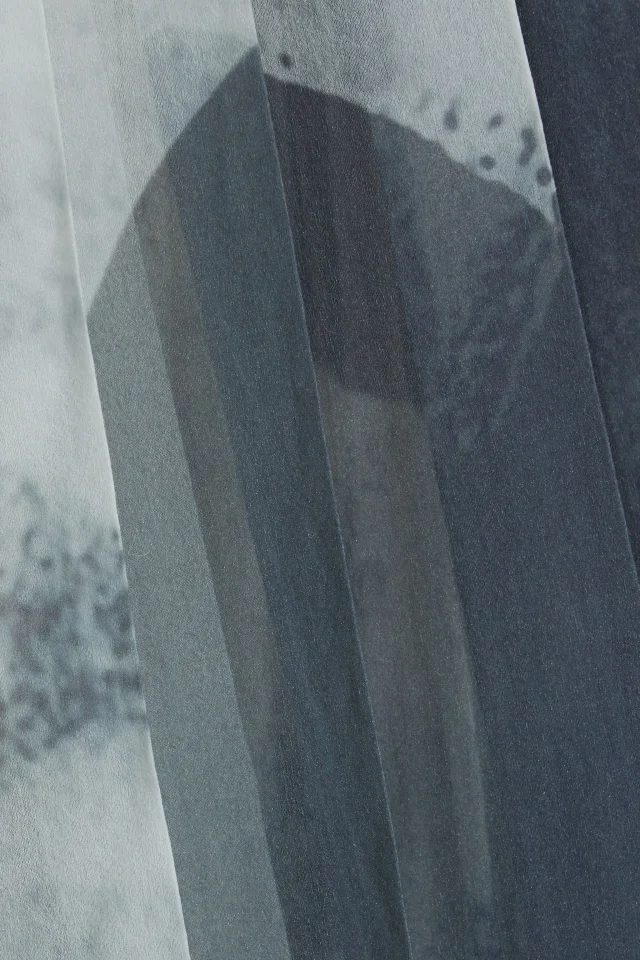 Proenza Schouler Pleated Printed Chiffon Skirt, photo 4 of 4 from THE OUTNET