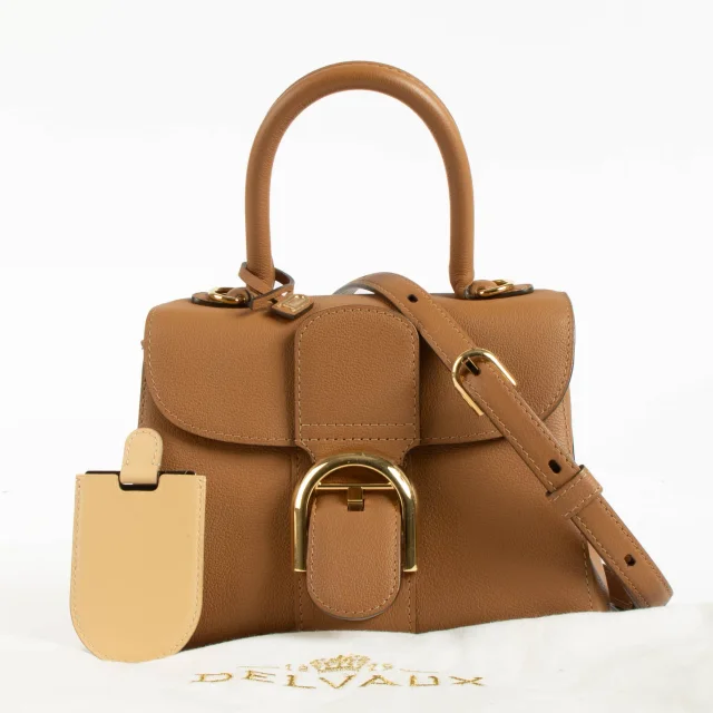 Delvaux Vegetal Rodeo Calf Brillant Mini Bag in Calfskin from Labellov, photo 2 of 4