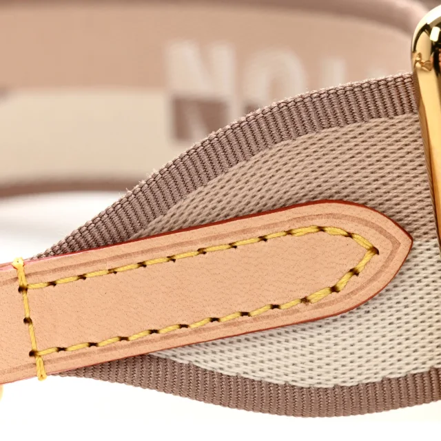 Louis Vuitton Jacquard Speedy Bandouliere 20 Shoulder Strap Beige in Beige Leather from FASHIONPHILE, photo 5 of 5