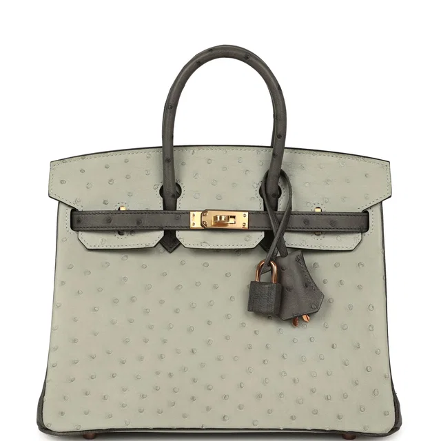 Hermès Special Order (HSS) Birkin 25 Gris Perle, Graphite Ostrich Rose Gold Hardware in Grey Ostrich from Madison Avenue Couture