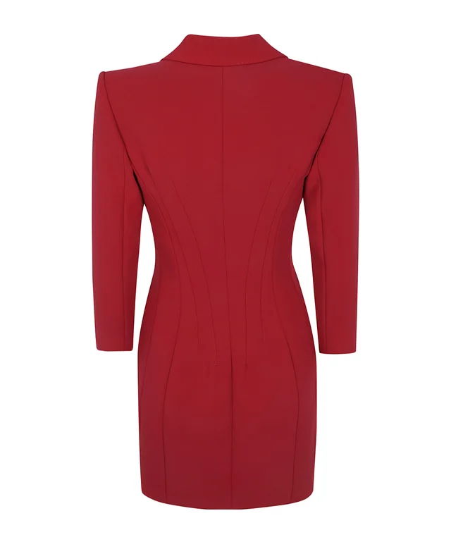 Elisabetta Franchi Double-Breasted Coat Dress, photo 2 of 3 from SENSER