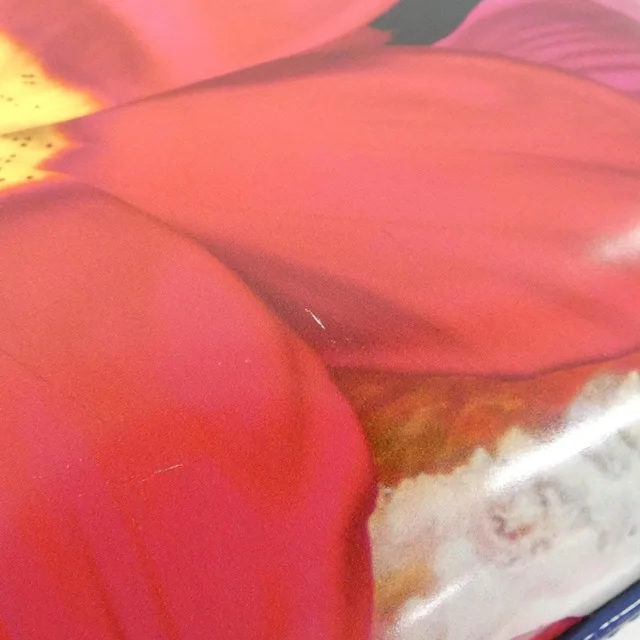 Christian Dior Lady Dior Mini Bag in RED+BLUE(レッド+ブルー) / SILVER(シルバー)金具 from KOMEHYO, photo 5 of 10