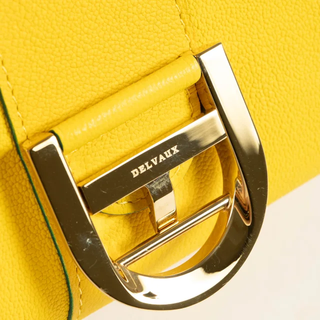 Delvaux Safran Rodeo Calf Brillant Mini Bag in Calfskin from Labellov, photo 8 of 9