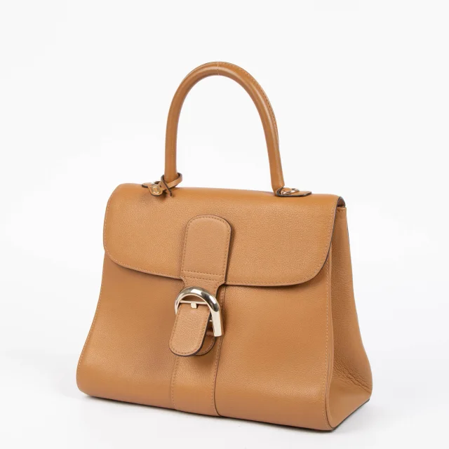 Delvaux Vegetal Sellier Brillant MM Bag from Labellov, photo 2 of 7