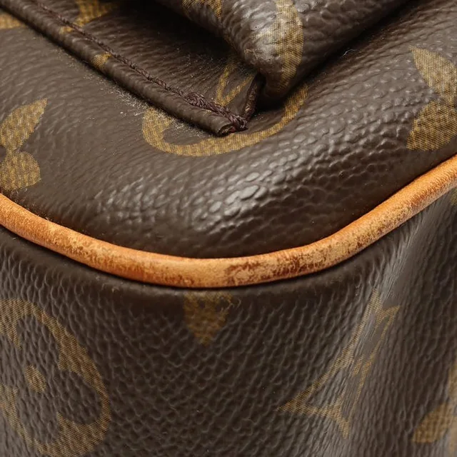 Louis Vuitton Monogram Viva Cite GM Bag in Coated canvas from A Retro Tale, photo 6 of 10