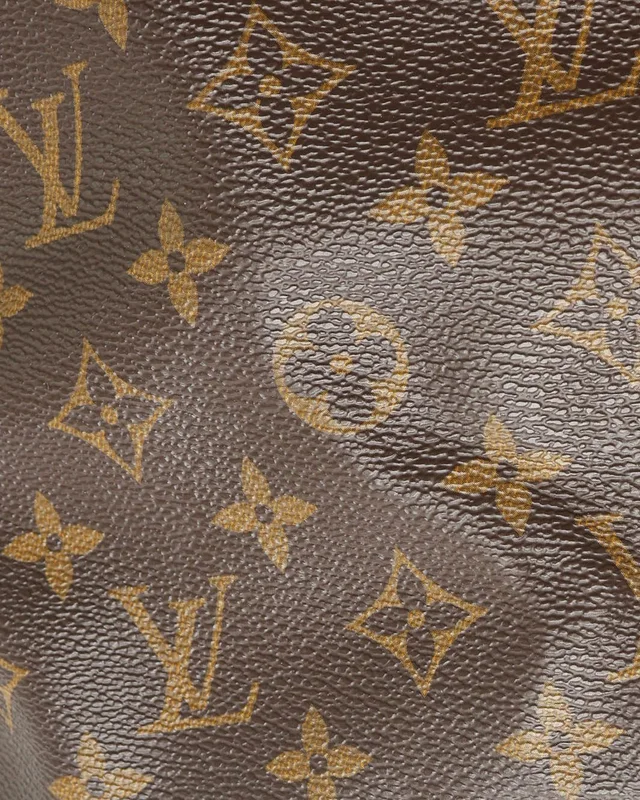 Louis Vuitton Monogram Raspail PM Tote Bag in Coated canvas from A Retro Tale, photo 6 of 10