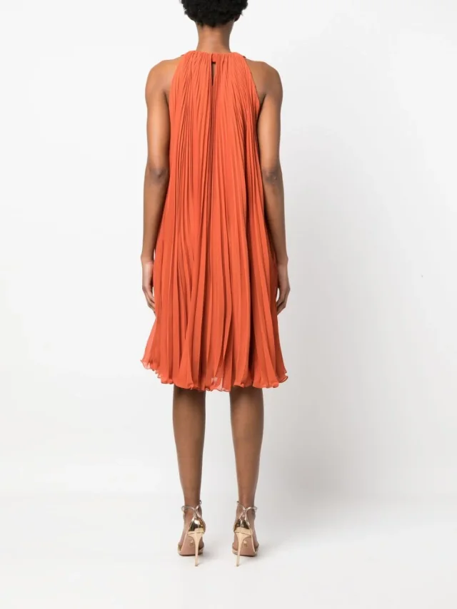 Max Mara Pianoforte Pleaterd Midi Dress, photo 4 of 6 from Balardi