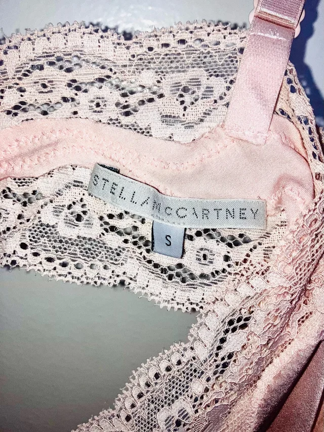 Stella McCartney Clara Whispering Pink Silk Lace-Trim Chemise in pink Silk from Poshmark, photo 8 of 13