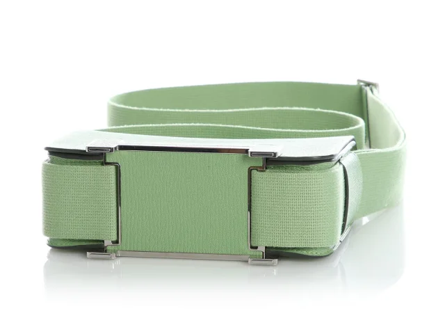 Hermès Vert Criquet and Vert Fizz Chèvre Mysore Geta in Green Goatskin from Ann's Fabulous Finds, photo 6 of 10