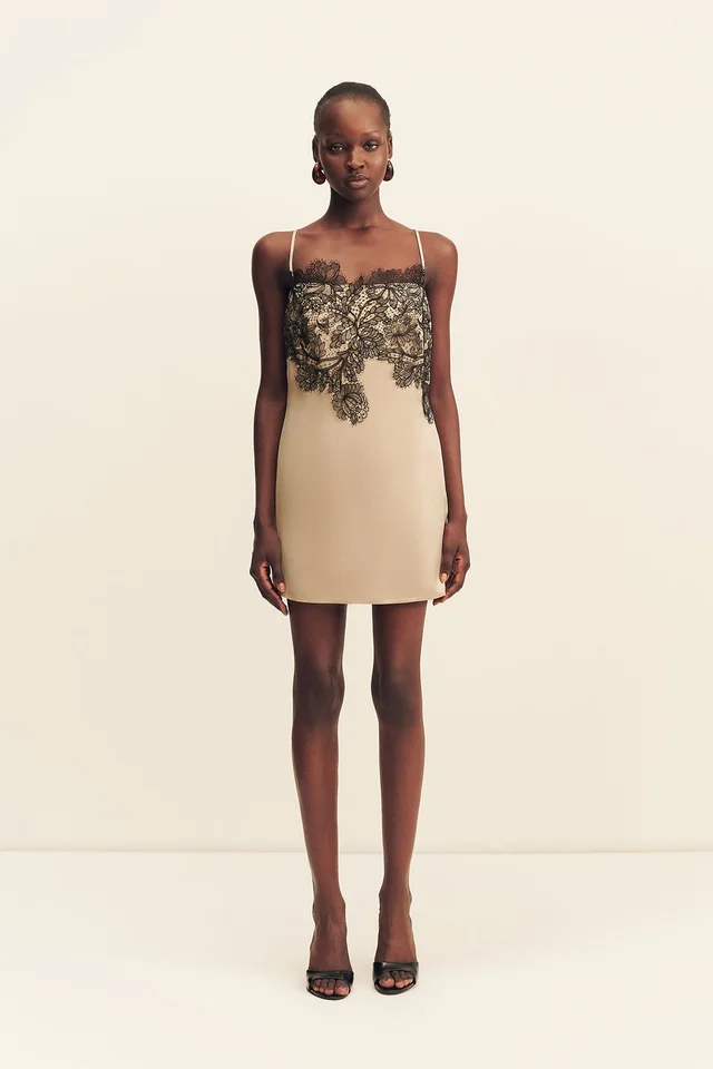 Shona Joy LUCIA LACE MINI DRESS - CHAMPAGNE/BLACK from Shona Joy, photo 1 of 1