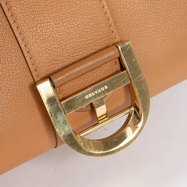 Delvaux Vegetal Rodeo Calf Brillant Mini Bag in Calfskin from Labellov, photo 3 of 3