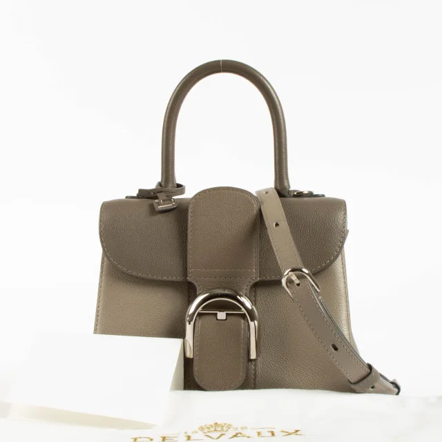 Delvaux Smoke Camaieux Rodeo Calf Brillant Mini Bag in Calfskin from Labellov, photo 2 of 8