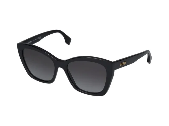 Maison Fendi Fe40151i Gradient Lens Sunglasses — Black Standard in Black from HEWI