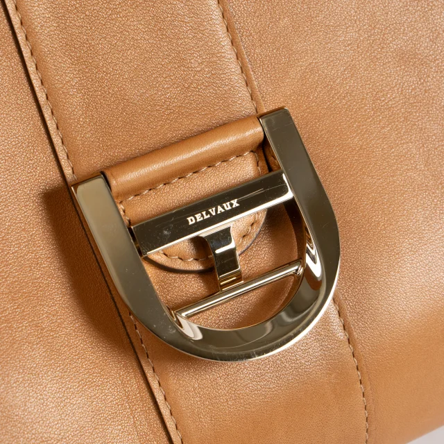 Delvaux Vegetal Alligator/Dream Brillant MM Bag in Crocodile from Labellov, photo 8 of 9