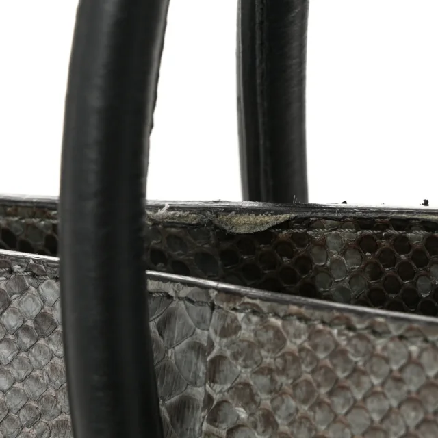 Celine Snakeskin Mini Luggage Multicolor in Multicolor Leather from FASHIONPHILE, photo 10 of 12