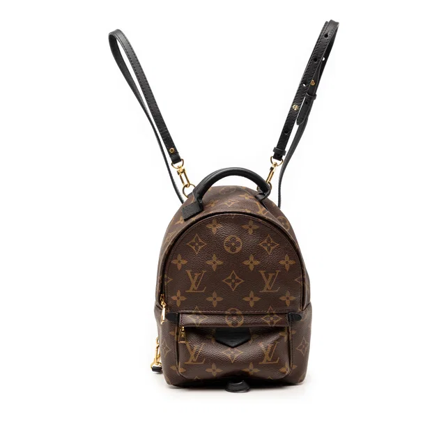Brown Louis Vuitton Monogram Mini Palm Springs Backpack in Brown Coated canvas from Designer Revival