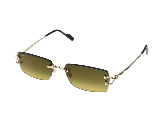 Cartier Ct0550s Sunglasses — Gold Metal in Gold from HEWI