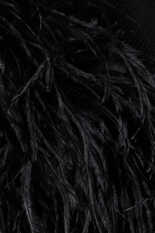 Valentino Garavani Feather-Embellished Virgin Wool Poncho, photo 4 of 4 from THE OUTNET