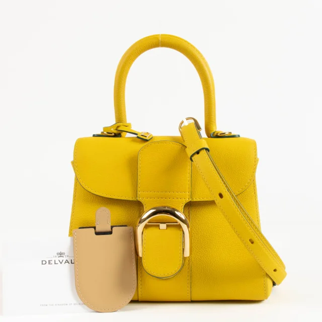 Delvaux Safran Rodeo Calf Brillant Mini Bag in Calfskin from Labellov, photo 2 of 9
