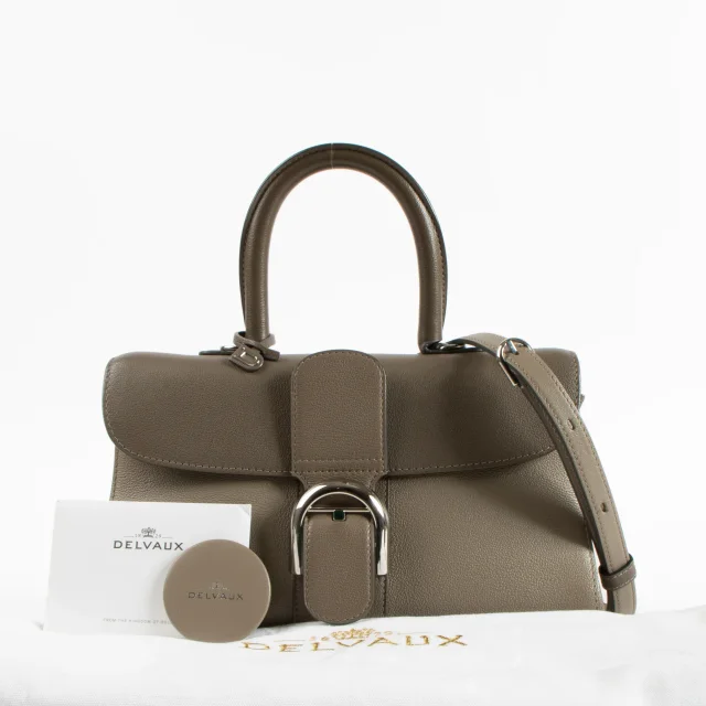 Delvaux Smoke Rodeo Calf Camaieux Brillant East West Mini Bag in Calfskin from Labellov, photo 2 of 9