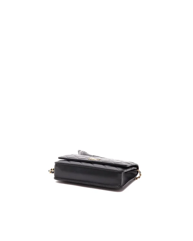 Chanel Wallet on Chain Bag in Lambskin from A Retro Tale, photo 4 of 10