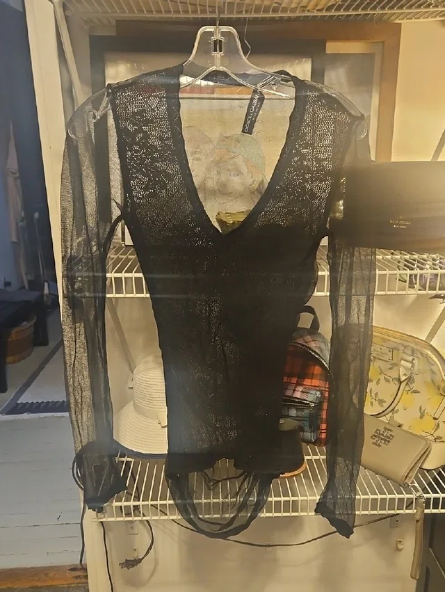 Dolce & Gabbana Sheer Black V-Neck Long Sleeve Bodysuit in black from Poshmark