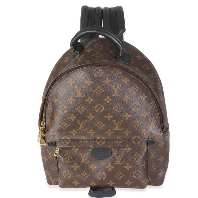 Louis Vuitton Monogram Canvas Palm Springs Mm Brown Handbag in Brown Coated canvas from HEWI