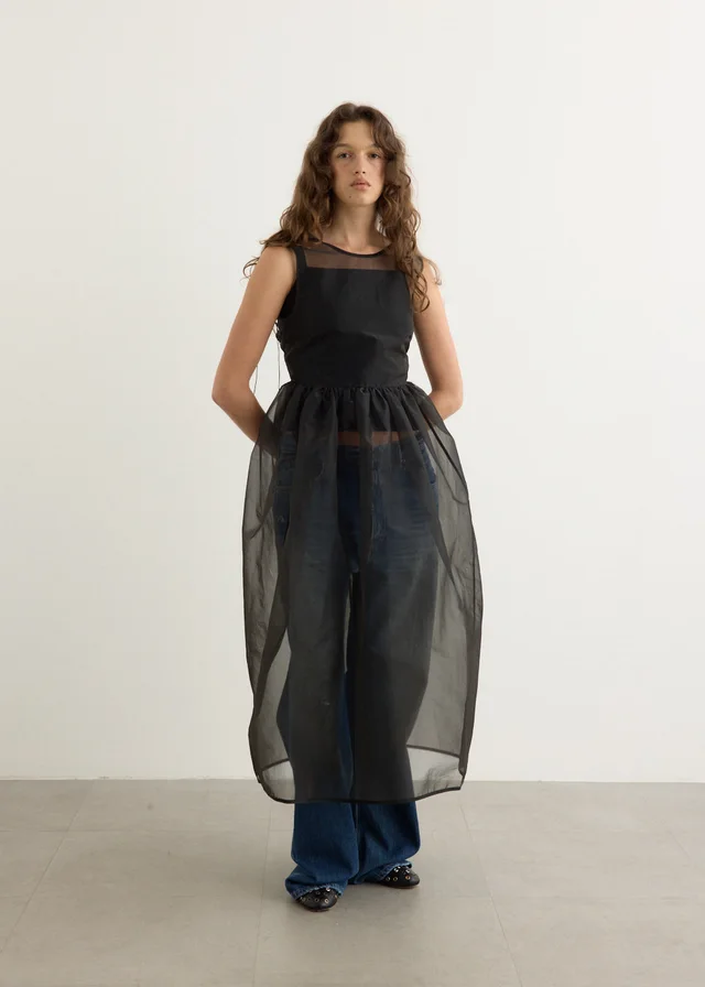 Cecilie Bahnsen Camilla Sheer Liquid Myrtia Overlay Dress in Black from Incu, photo 1 of 1