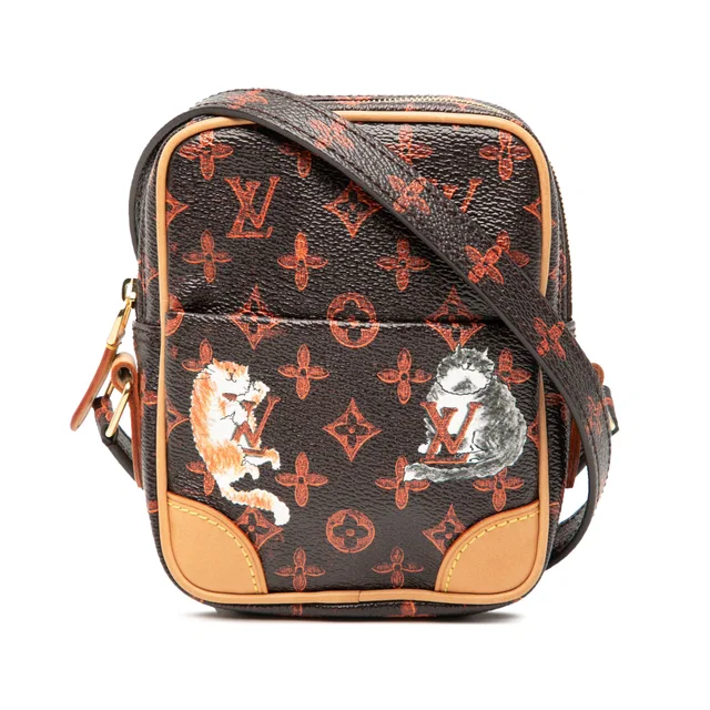 Brown Louis Vuitton Grace Coddington Catogram Paname PM Crossbody Bag in Brown Coated canvas from Designer Revival