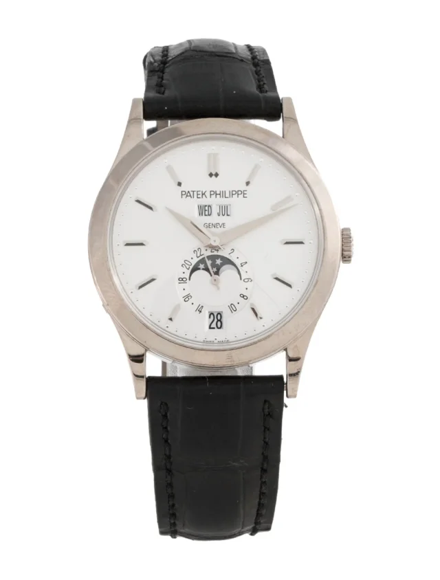 Patek Philippe Complications Watch in multicolor Crocodile from The RealReal