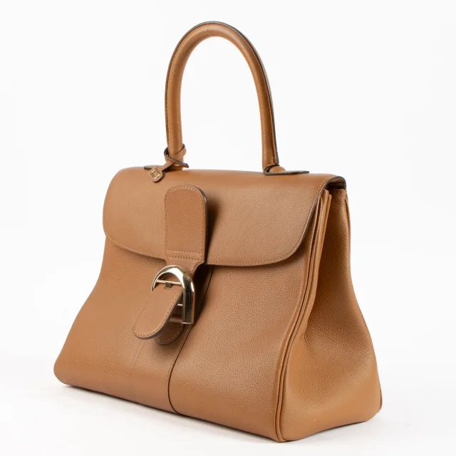 Delvaux Vegetal Sellier Brillant MM Bag in Leather from Labellov, photo 3 of 9