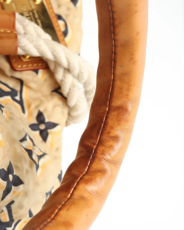 Louis Vuitton Cruise Bulles MM Bag in Nylon from A Retro Tale, photo 9 of 17