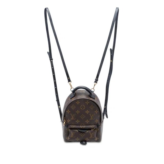 Brown Louis Vuitton Monogram Mini Palm Springs Backpack in Brown Coated canvas from Designer Revival