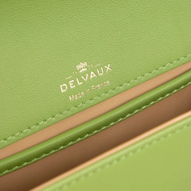 Delvaux Aloé Supple Calf Tempête PM in Calfskin from Labellov, photo 6 of 8