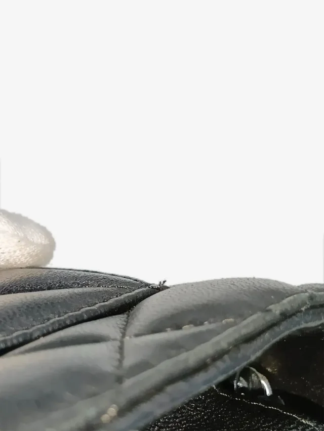 Chanel Black 2018 lambskin quilted Wallet On Chain in Black Lambskin from Sign of the Times, photo 14 of 16