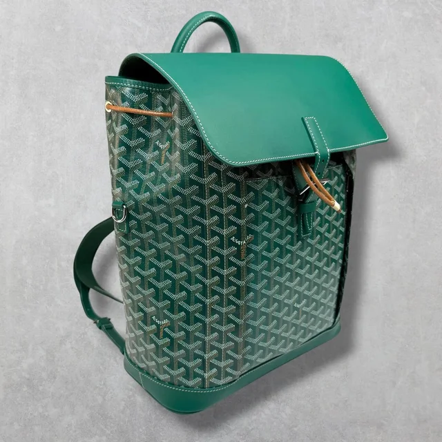 Goyard Green Alpin Backpack in multicolor Canvas from Grailed, photo 1 of 1