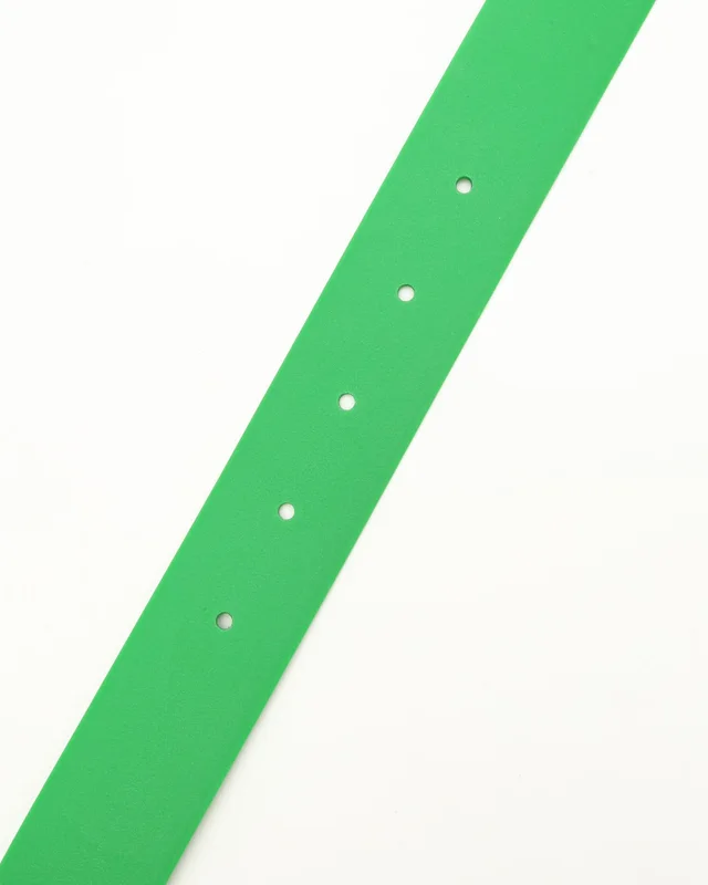 Bottega Veneta Rubber Belt in Green Leather from A Retro Tale, photo 6 of 6