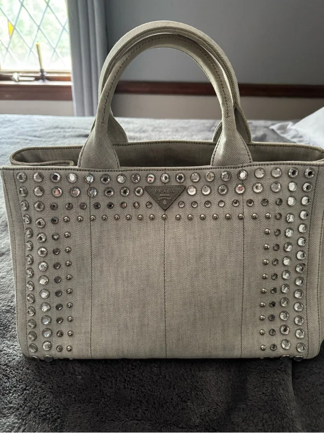 Prada Crystal-Studded Beige/Grey Canvas Tote in gray Canvas from Poshmark, photo 1 of 1