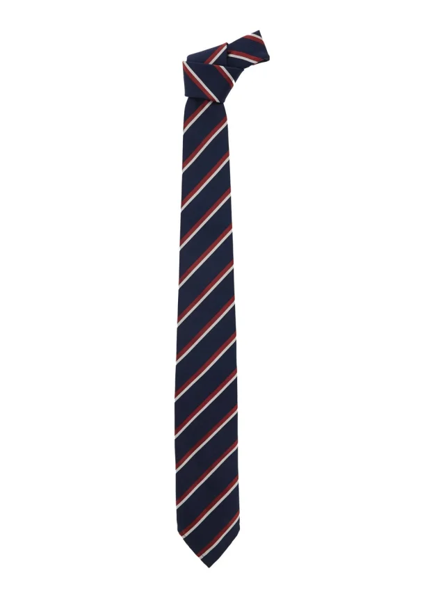 Blue Tie with All-Over Striped Motif in SIlk for Men in Blue, image 1 of 1 from Gaudenzi Boutique